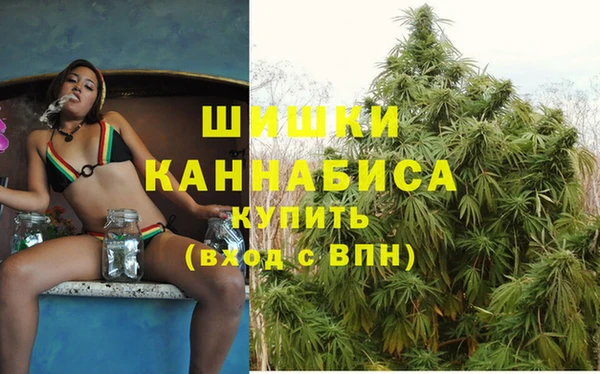 винт Армянск
