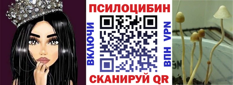 Галлюциногенные грибы ЛСД  Новотроицк 