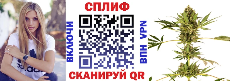 магазин    Новотроицк  Конопля план 